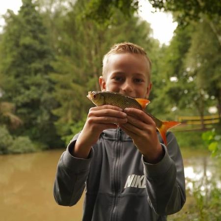 Saevis Tranquillus In Undis In De Ijsvogel Diffelen Exterior foto
