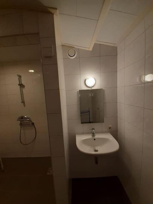 Saevis Tranquillus In Undis In De Ijsvogel Diffelen Exterior foto