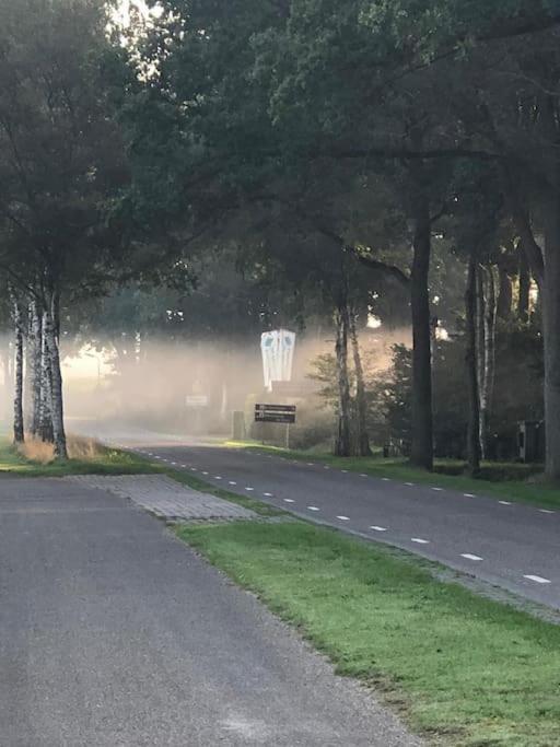 Saevis Tranquillus In Undis In De Ijsvogel Diffelen Exterior foto