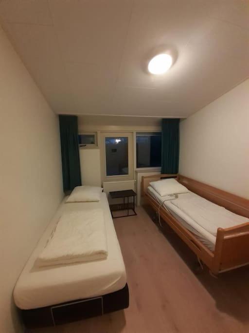 Saevis Tranquillus In Undis In De Ijsvogel Diffelen Exterior foto